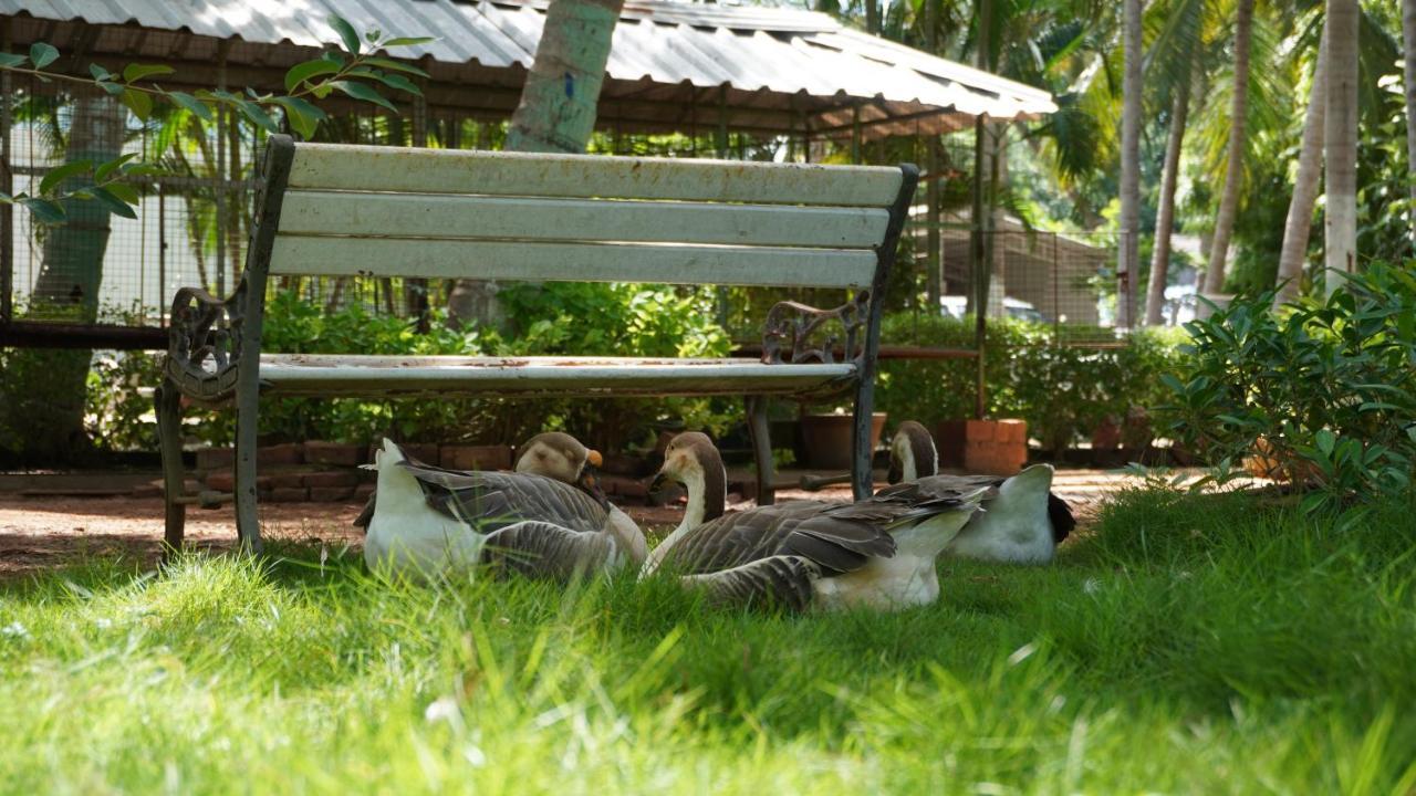 Rk Resorts Karaikal Dış mekan fotoğraf